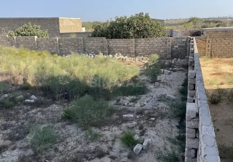 7 sot Torpaq Satılır, Nardaran qəs., Sabunçu, Bakı
