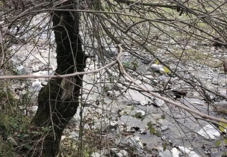 12 sot Torpaq Satılır, Qəbələ