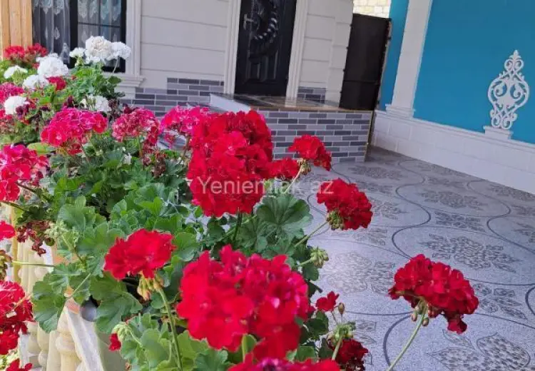 4 otaqlı mənzil Kirayə (günlük), Qəbələ