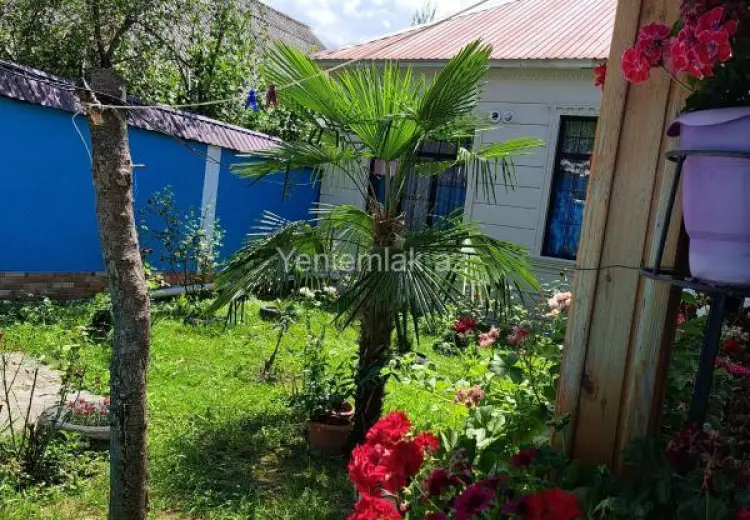 4 otaqlı mənzil Kirayə (günlük), Qəbələ
