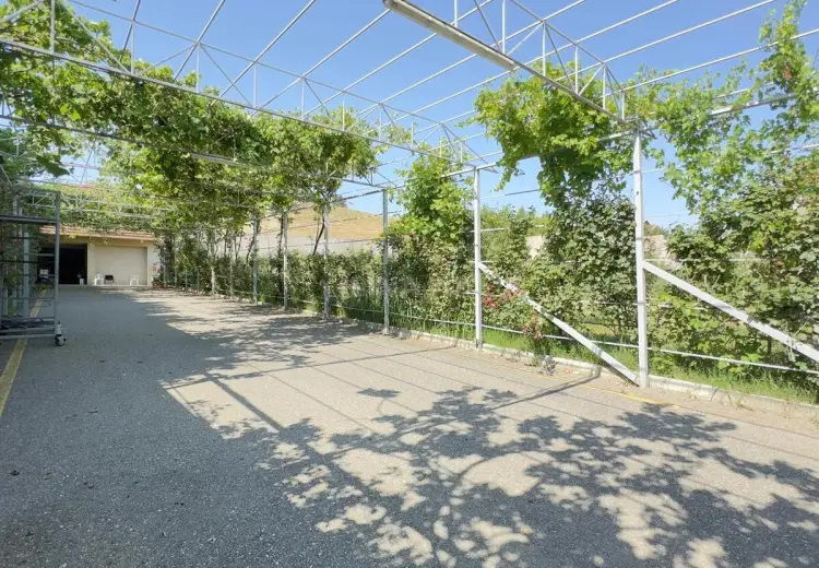 24 sot Torpaq Satılır, Fatmayı, Abşeron