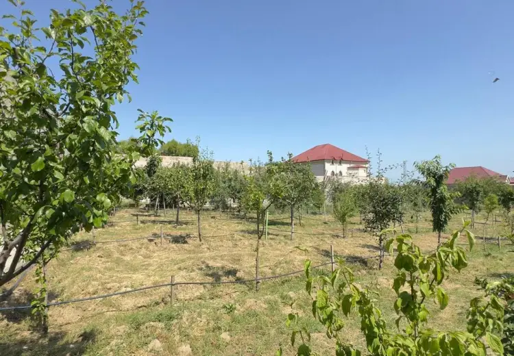 24 sot Torpaq Satılır, Fatmayı, Abşeron