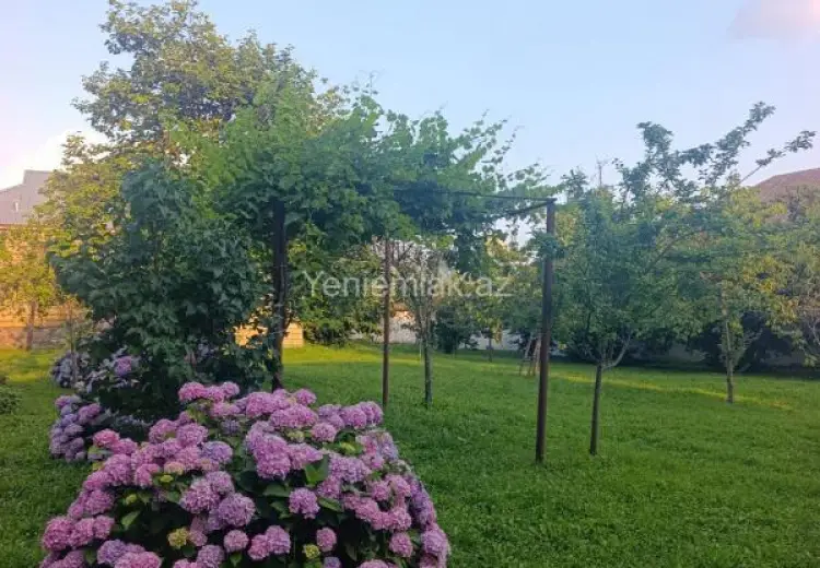 4 otaqlı mənzil Kirayə (günlük), Qəbələ
