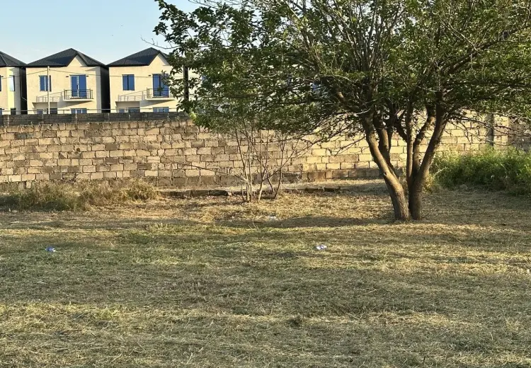 3 sot Torpaq Satılır, Novxanı, Abşeron