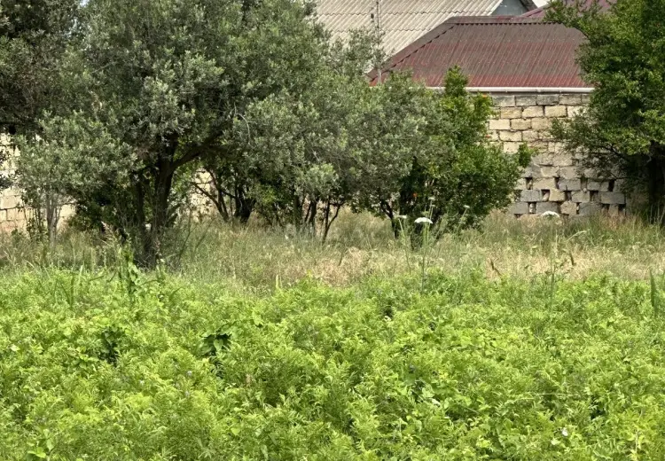 3 sot Torpaq Satılır, Novxanı, Abşeron