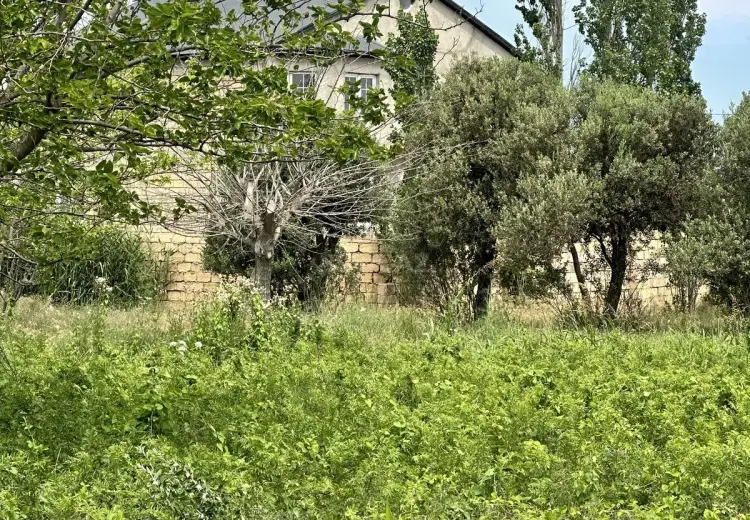 3 sot Torpaq Satılır, Novxanı, Abşeron