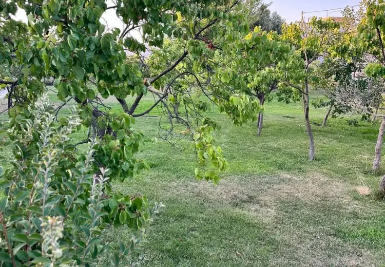 2.5 sot Torpaq Satılır, Goradil, Abşeron