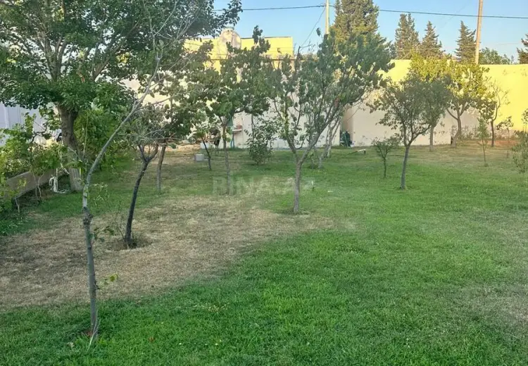 4 sot Torpaq Satılır, Goradil, Abşeron