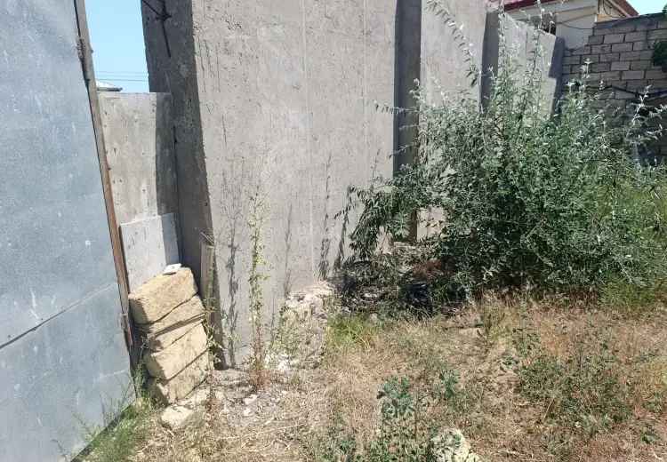 8 sot Torpaq Satılır, Novxanı, Abşeron