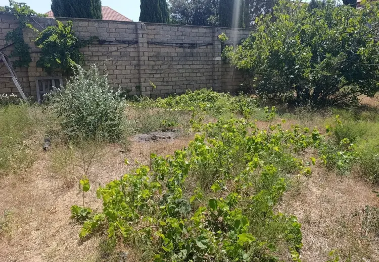 8 sot Torpaq Satılır, Novxanı, Abşeron