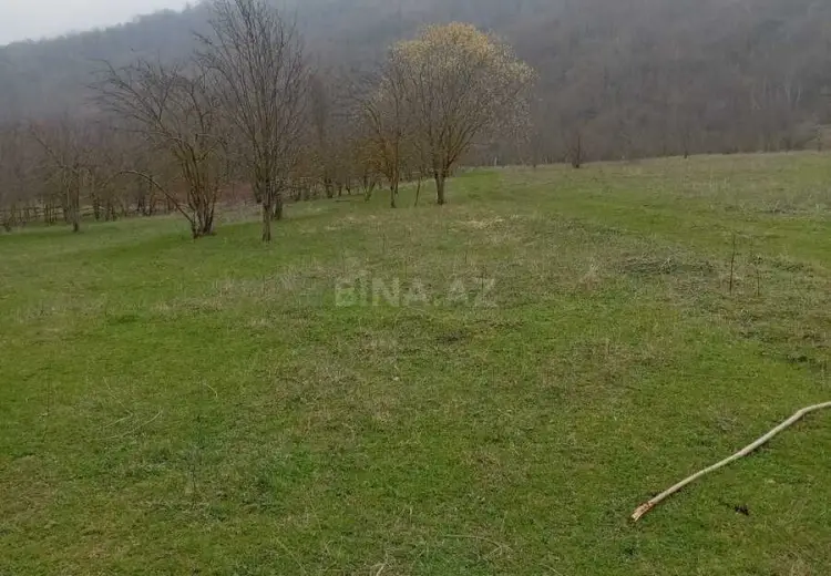 52 sot Torpaq Satılır, Böyükşor qəs., Nərimanov, Bakı