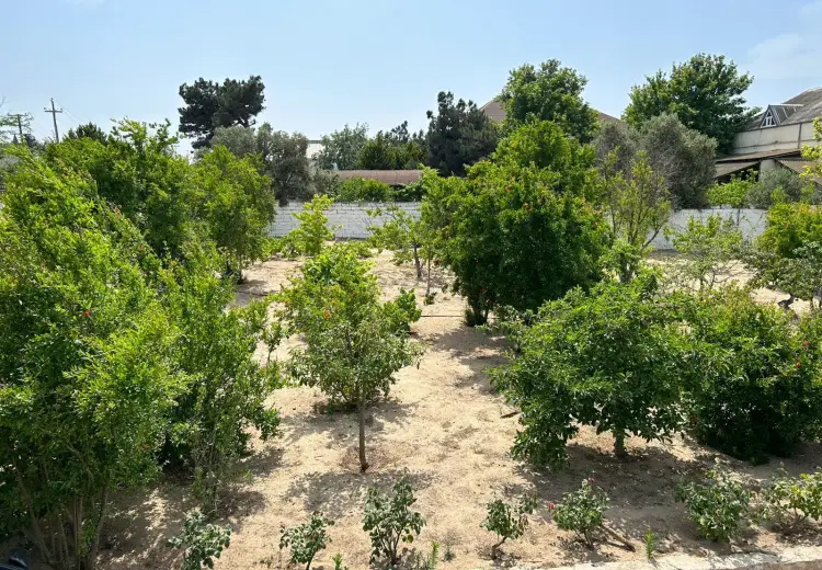 50 sot Torpaq Satılır, Bilgəh qəs., Sabunçu, Bakı