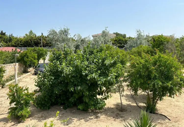 50 sot Torpaq Satılır, Bilgəh qəs., Sabunçu, Bakı