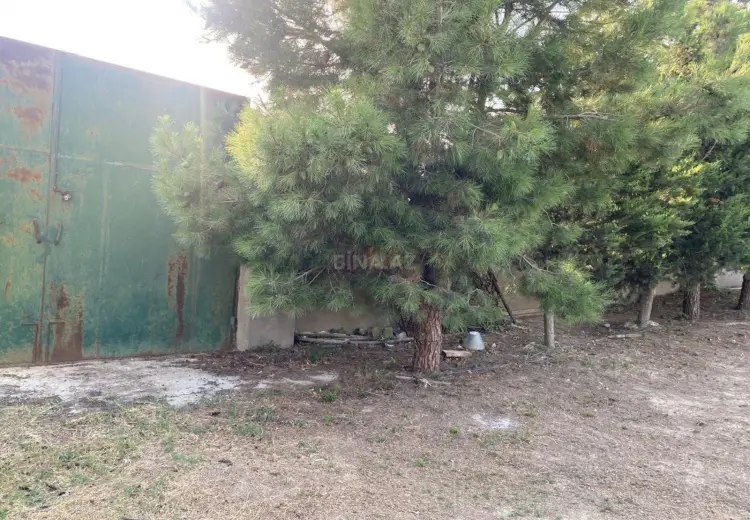 10 sot Torpaq Satılır, Fatmayı, Abşeron