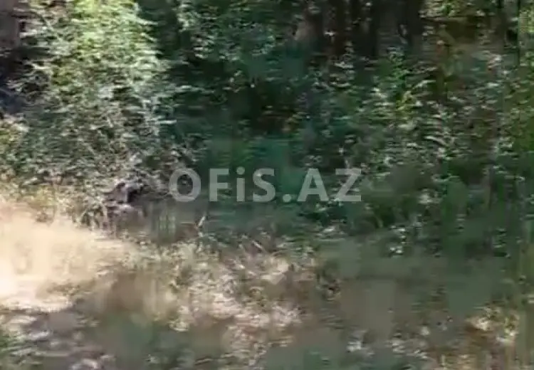 0 sot Torpaq Satılır, Xızı