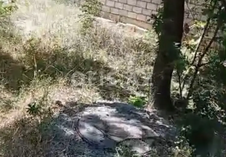 0 sot Torpaq Satılır, Xızı