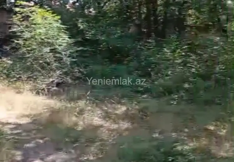 12 sot Torpaq Satılır, Xızı