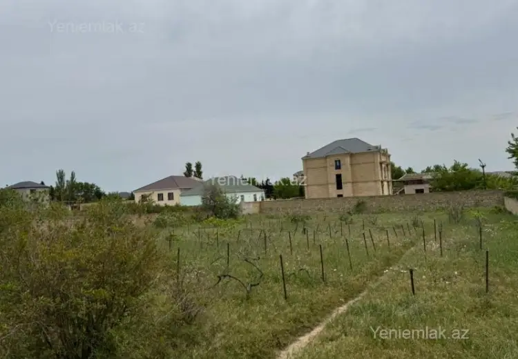 5 sot Torpaq Satılır, Saray, Abşeron