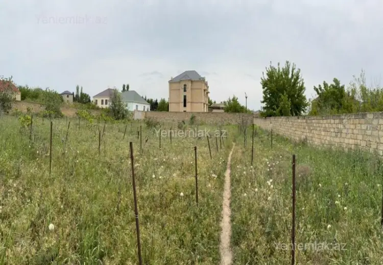 5 sot Torpaq Satılır, Saray, Abşeron