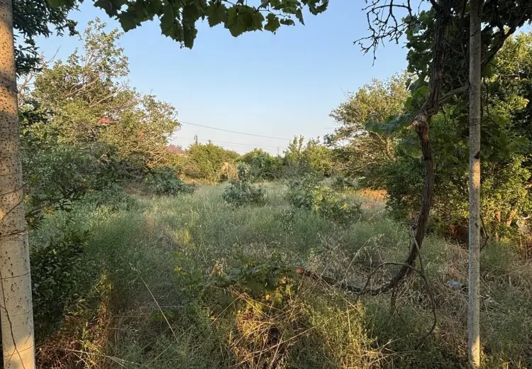 32 sot Torpaq Satılır, Novxanı, Abşeron