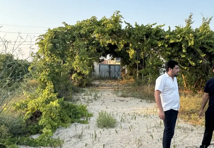 32 sot Torpaq Satılır, Novxanı, Abşeron
