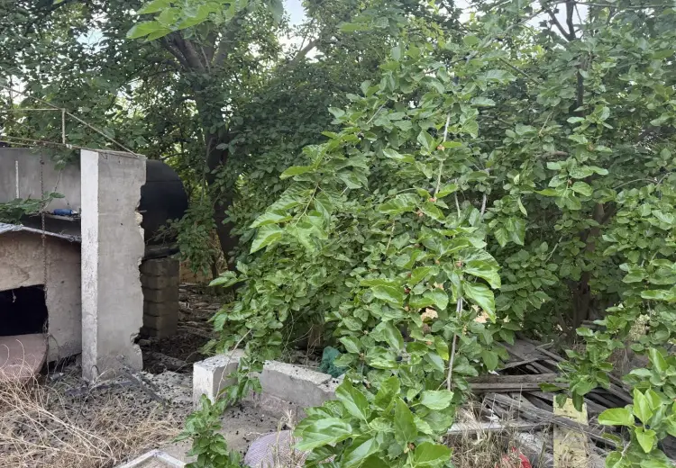 15.9 sot Torpaq Satılır, Masazır, Abşeron