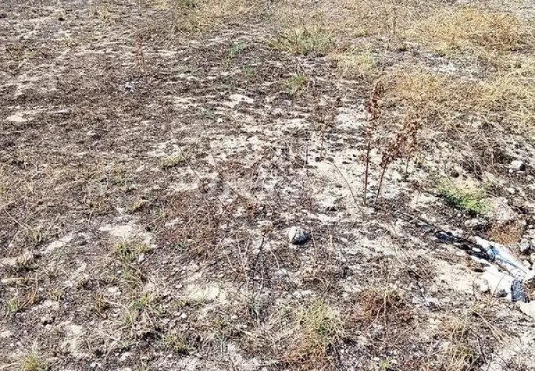 0 sot Torpaq Satılır, Qala, Xəzər, Bakı