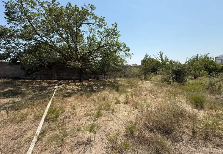21 sot Torpaq Satılır, Novxanı, Abşeron