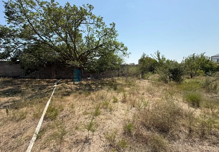 21 sot Torpaq Satılır, Saray, Abşeron
