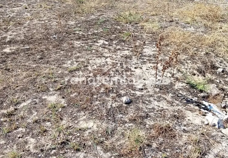0 sot Torpaq Satılır, Qala, Xəzər, Bakı