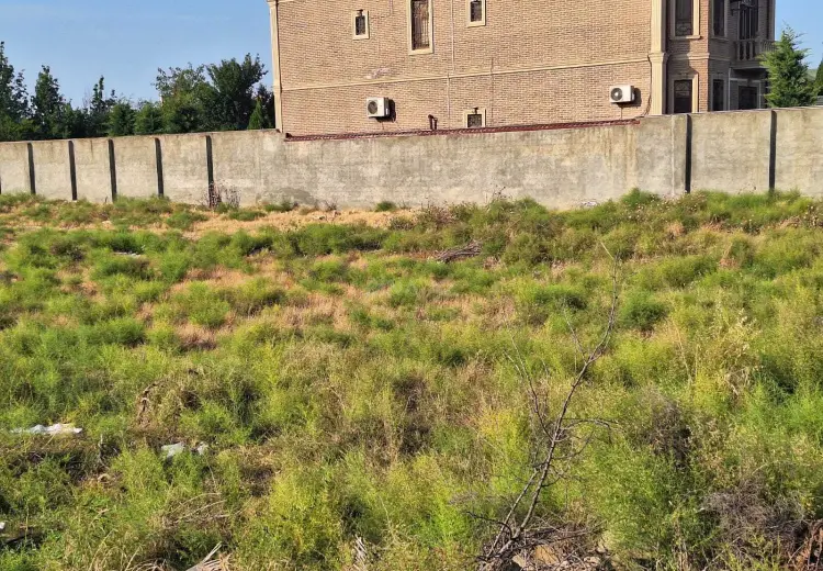 13 sot Torpaq Satılır, Novxanı, Abşeron