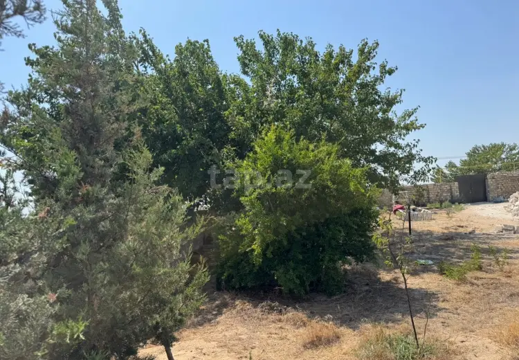 0 m² Obyekt / Ofis , Türkan, Xəzər, Bakı