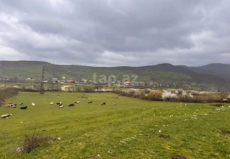 0 m² Obyekt / Ofis , Şabran
