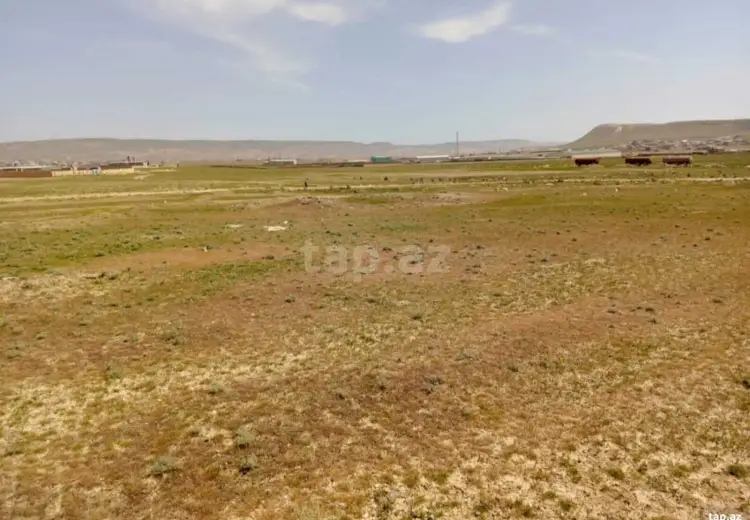 0 m² Obyekt / Ofis , Masazır, Abşeron