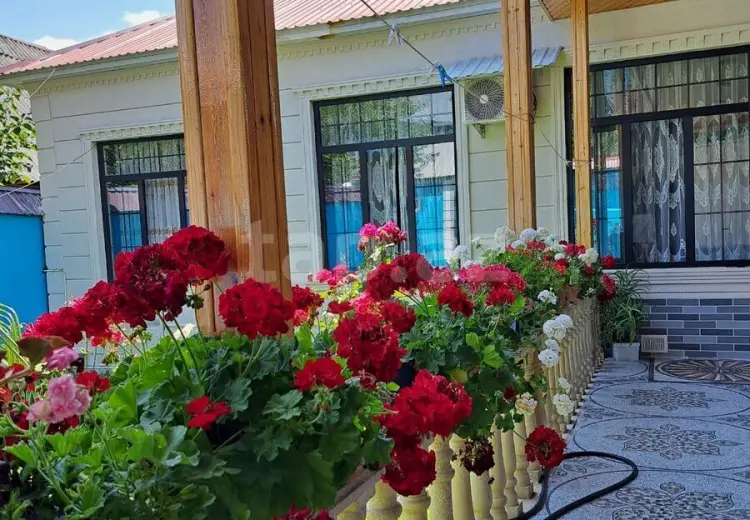 3 otaqlı mənzil Kirayə (günlük), Qəbələ