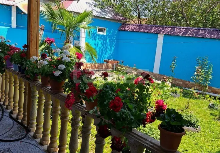 3 otaqlı mənzil Kirayə (günlük), Qəbələ