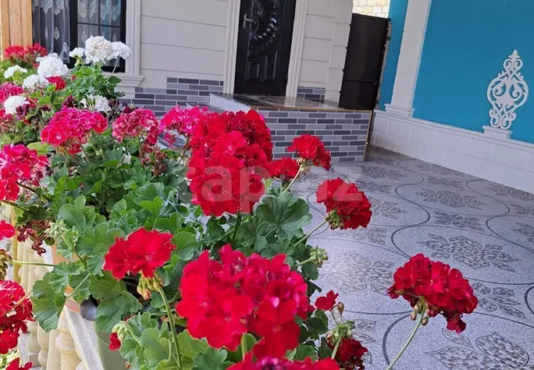 3 otaqlı mənzil Kirayə (günlük), Qəbələ