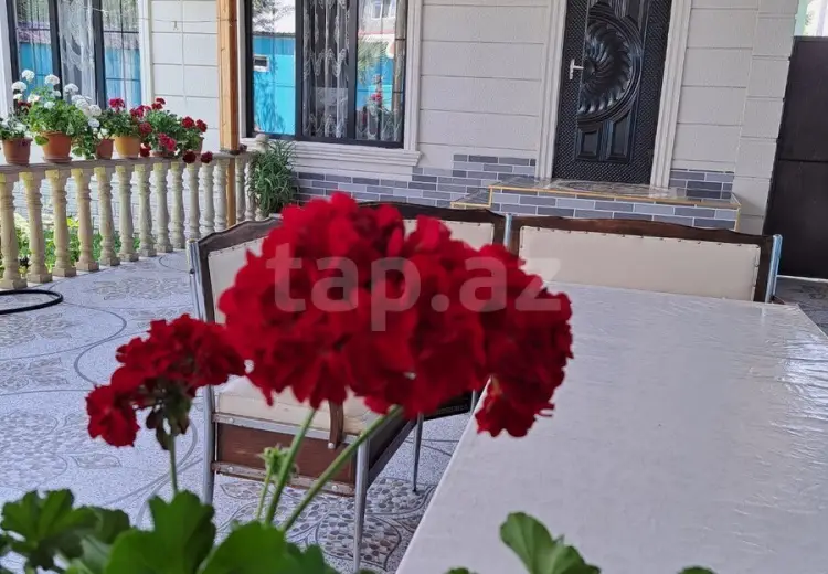 3 otaqlı mənzil Kirayə (günlük), Qəbələ