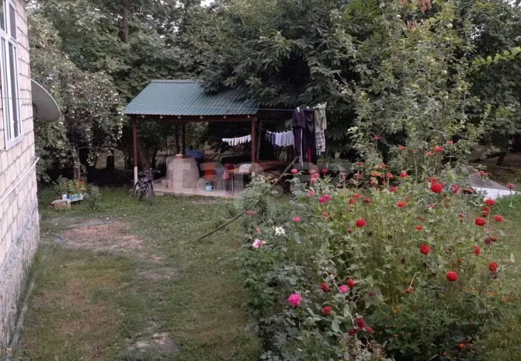 0 m² Obyekt / Ofis , Qəbələ