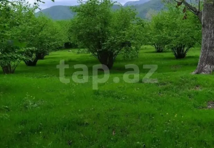 0 m² Obyekt / Ofis , Əmircan qəs., Suraxanı, Qax