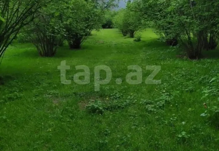 0 m² Obyekt / Ofis , Əmircan qəs., Suraxanı, Qax
