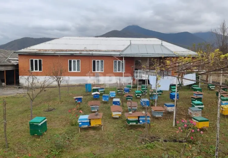 0 m² Obyekt / Ofis , Əmircan qəs., Suraxanı, Qax