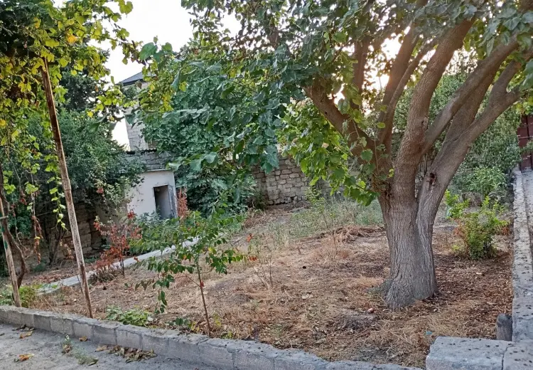1.5 sot Torpaq Satılır, Qala, Xəzər, Bakı