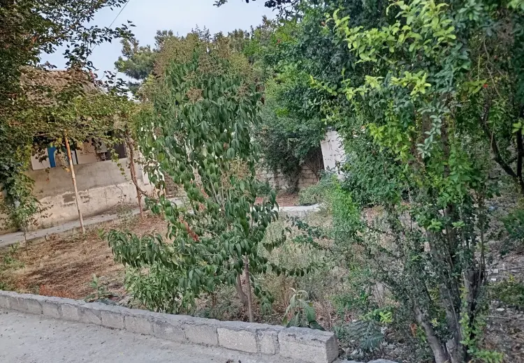 1.5 sot Torpaq Satılır, Qala, Xəzər, Bakı