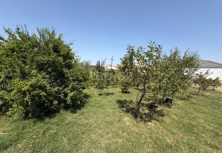 0 m² Obyekt / Ofis , Digah, Abşeron