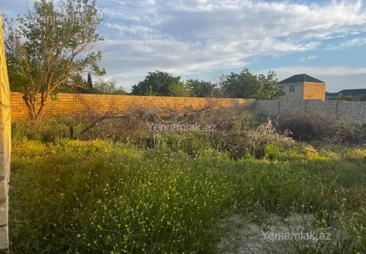 8 sot Torpaq Satılır, Saray, Abşeron