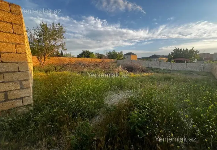 8 sot Torpaq Satılır, Saray, Abşeron