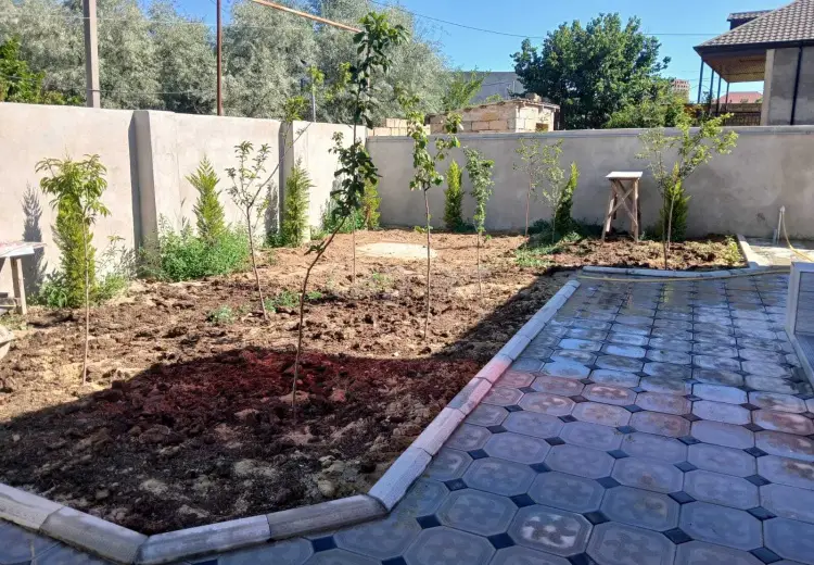 3 otaqlı mənzil , Saray, Abşeron