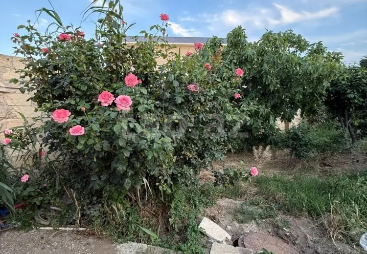 4 otaqlı mənzil , Sumqayıt