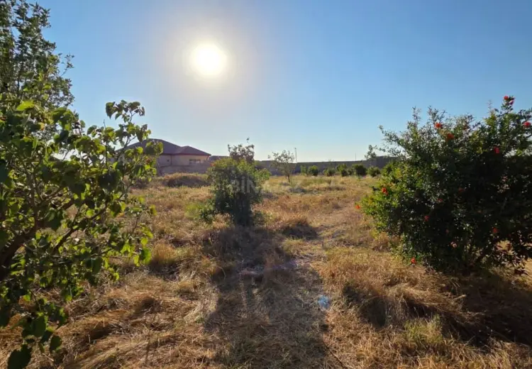 12 sot Torpaq Satılır, Novxanı, Abşeron